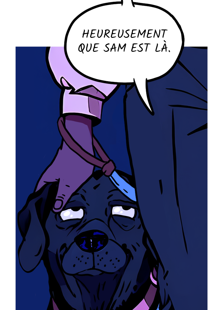 Image de la BD